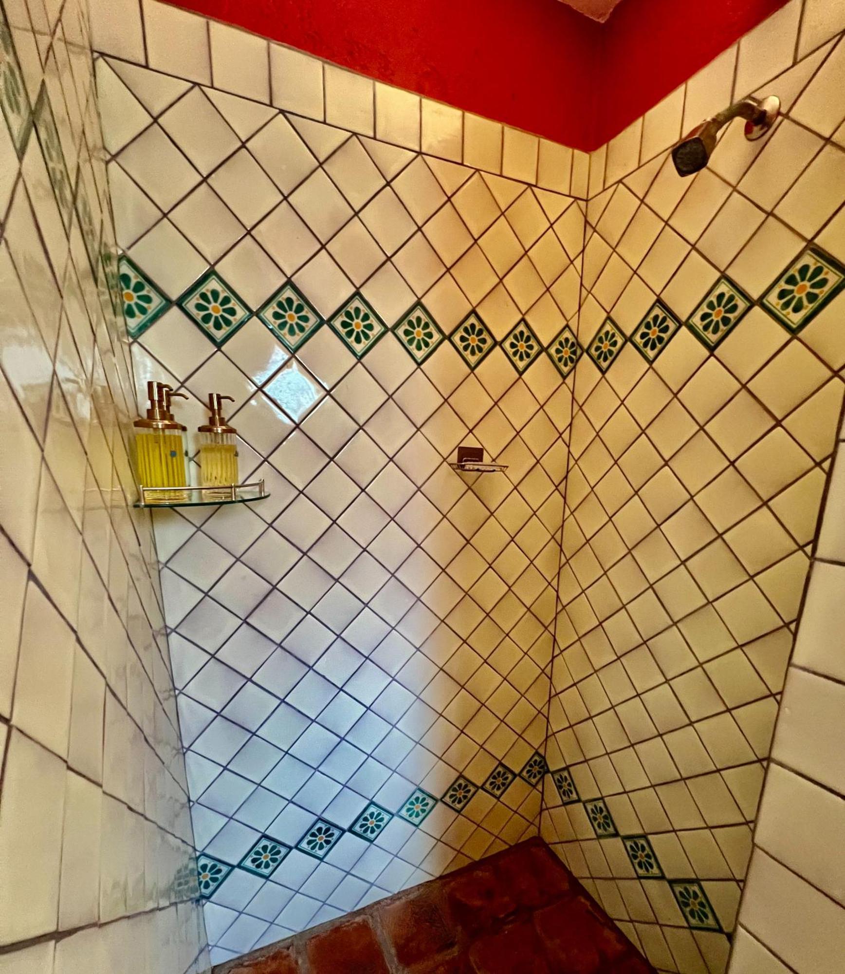 Boutique Hotel Casa Camellia San Miguel de Allende Eksteriør bilde