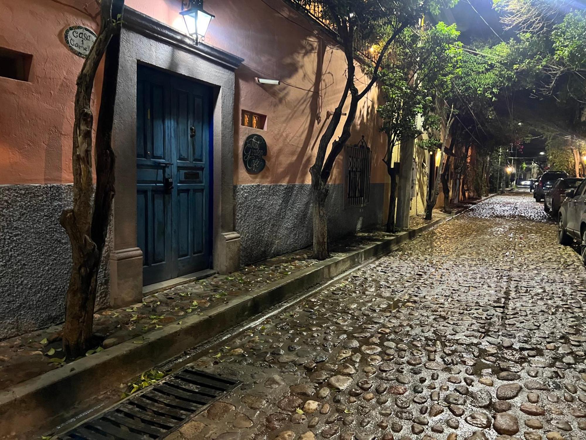 Boutique Hotel Casa Camellia San Miguel de Allende Eksteriør bilde