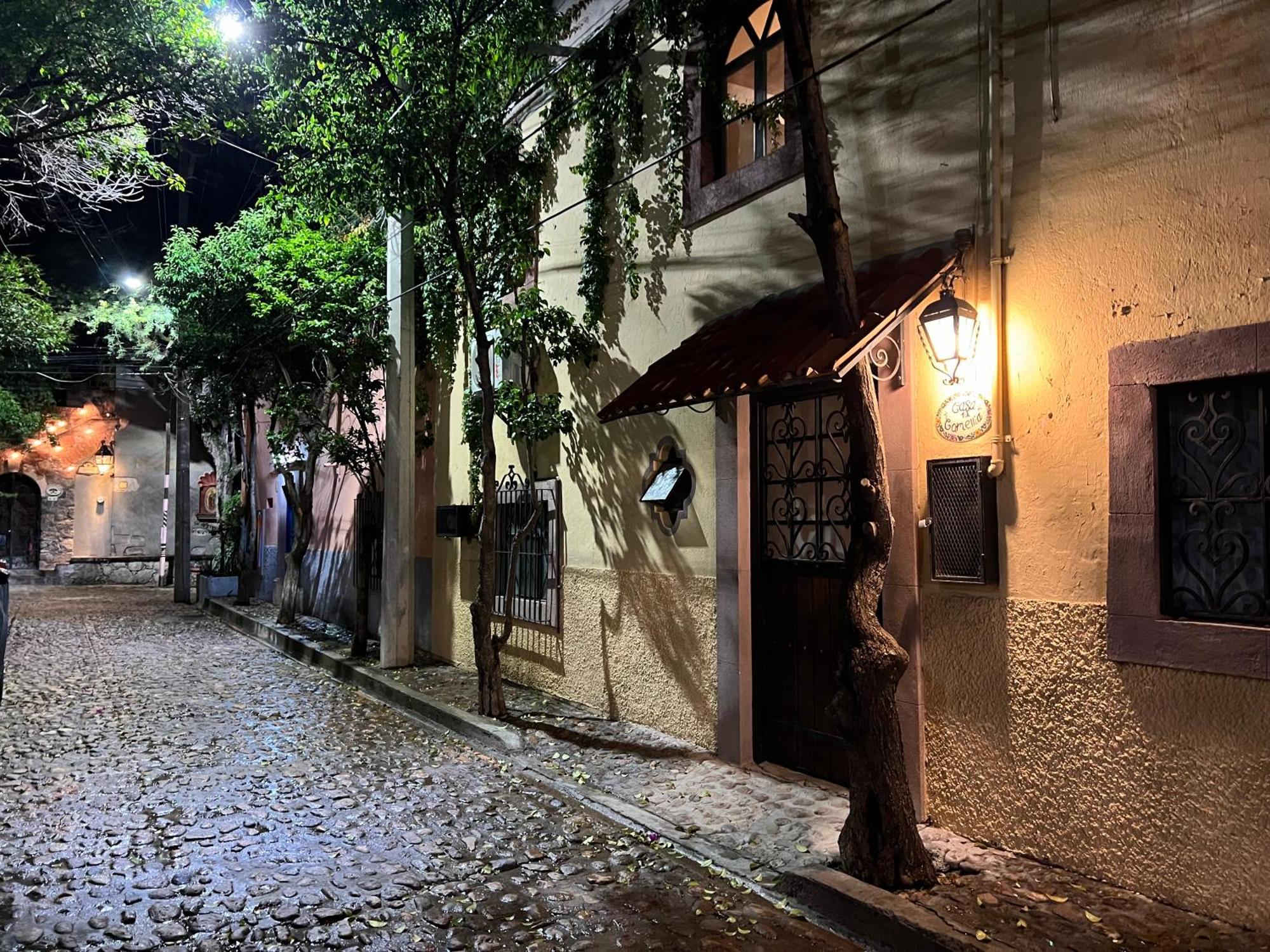 Boutique Hotel Casa Camellia San Miguel de Allende Eksteriør bilde