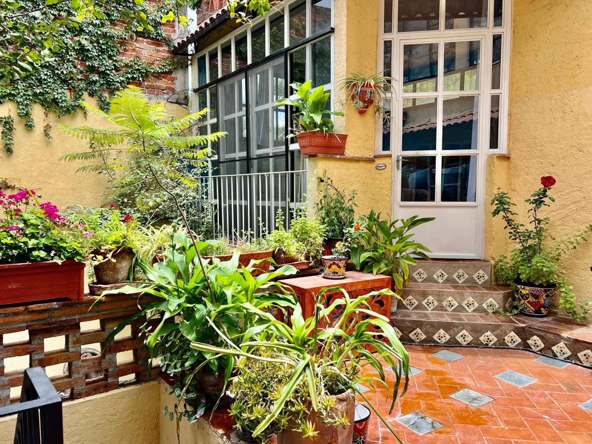 Boutique Hotel Casa Camellia San Miguel de Allende Eksteriør bilde